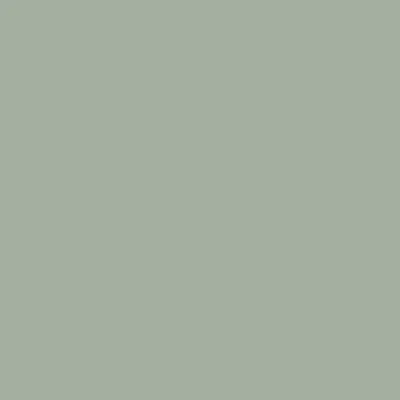 Mattdeco Agave